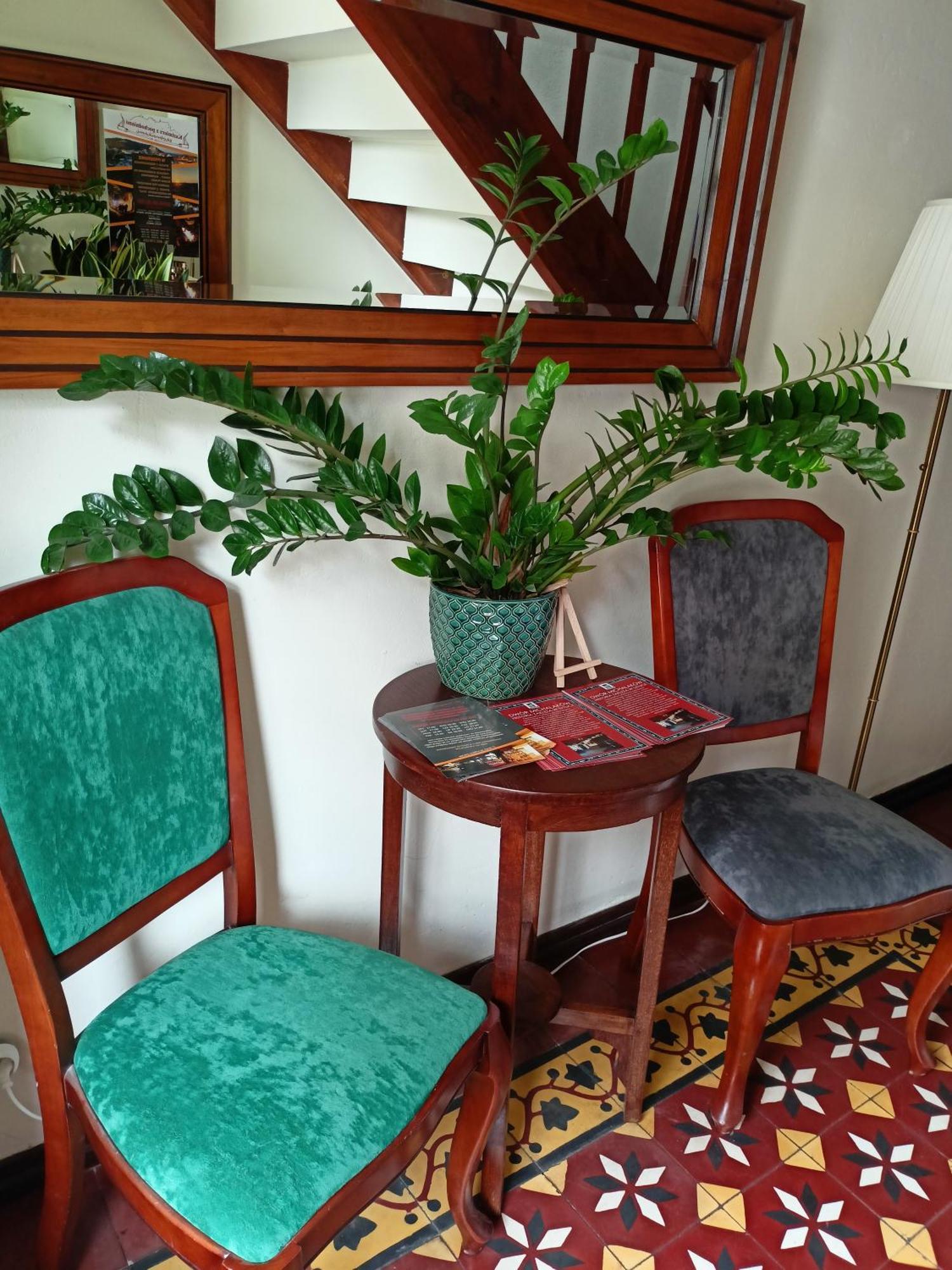 Agharta Bed and Breakfast Kazimierz Dolny Eksteriør billede